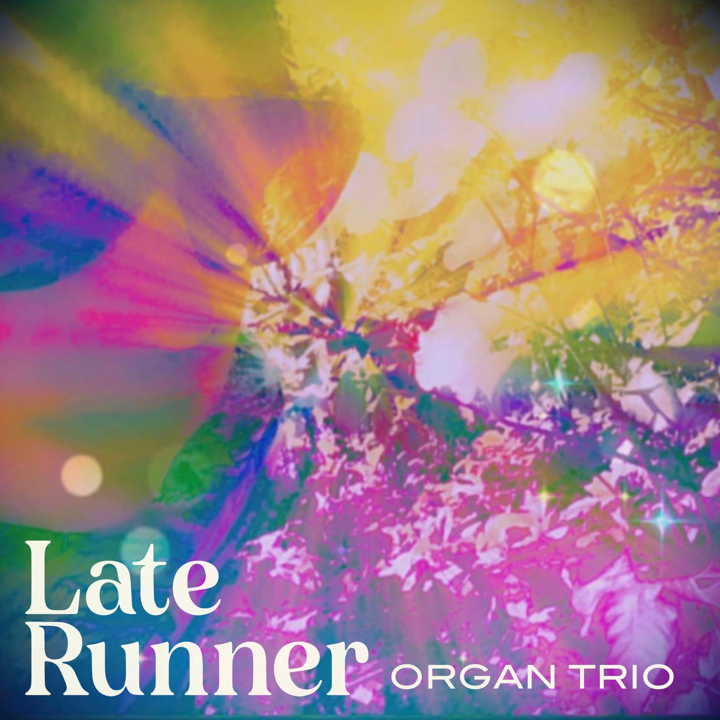 Organ Trio